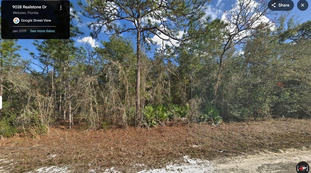 For Sale: $35,000 (1.00 acres)