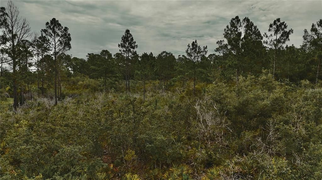 待售: $105,000 (20.00 acres)