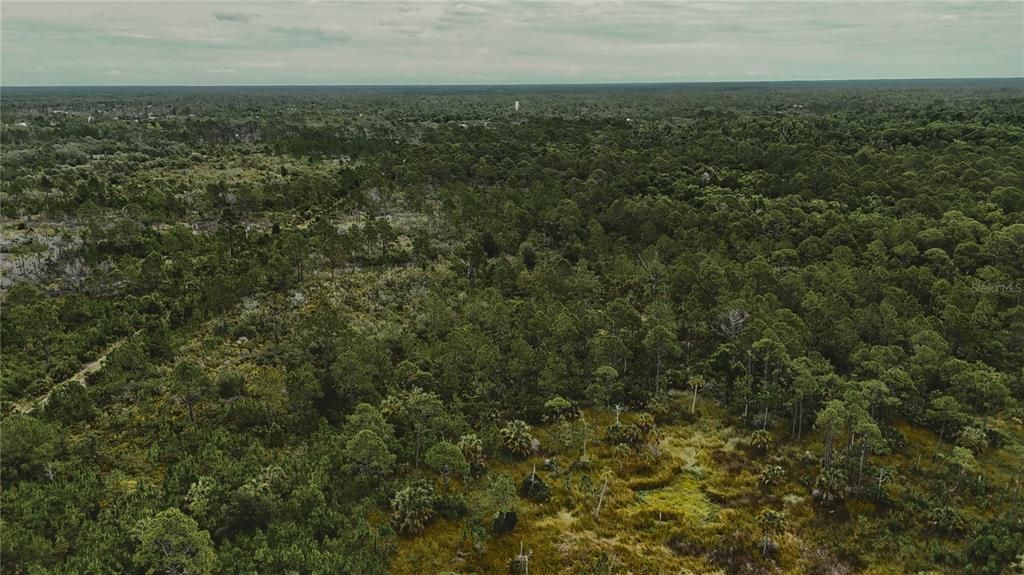 待售: $105,000 (20.00 acres)