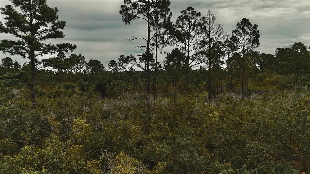 待售: $105,000 (20.00 acres)