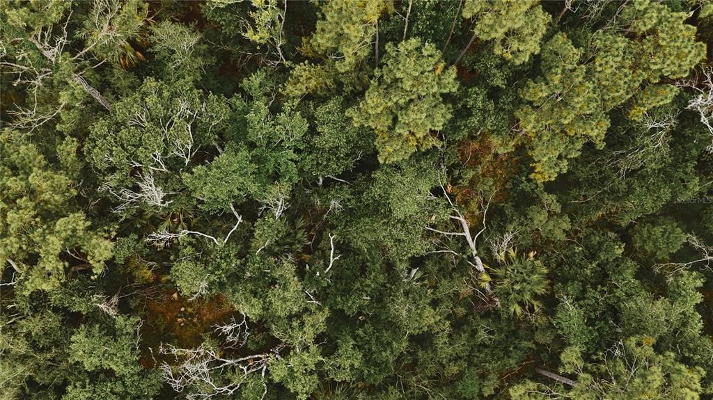 待售: $105,000 (20.00 acres)