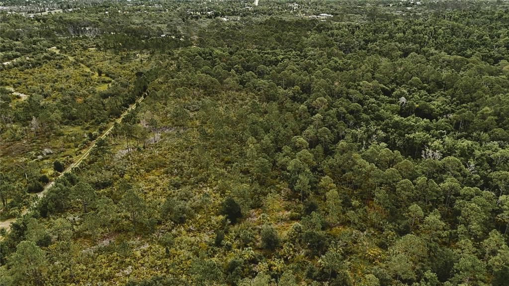 待售: $105,000 (20.00 acres)