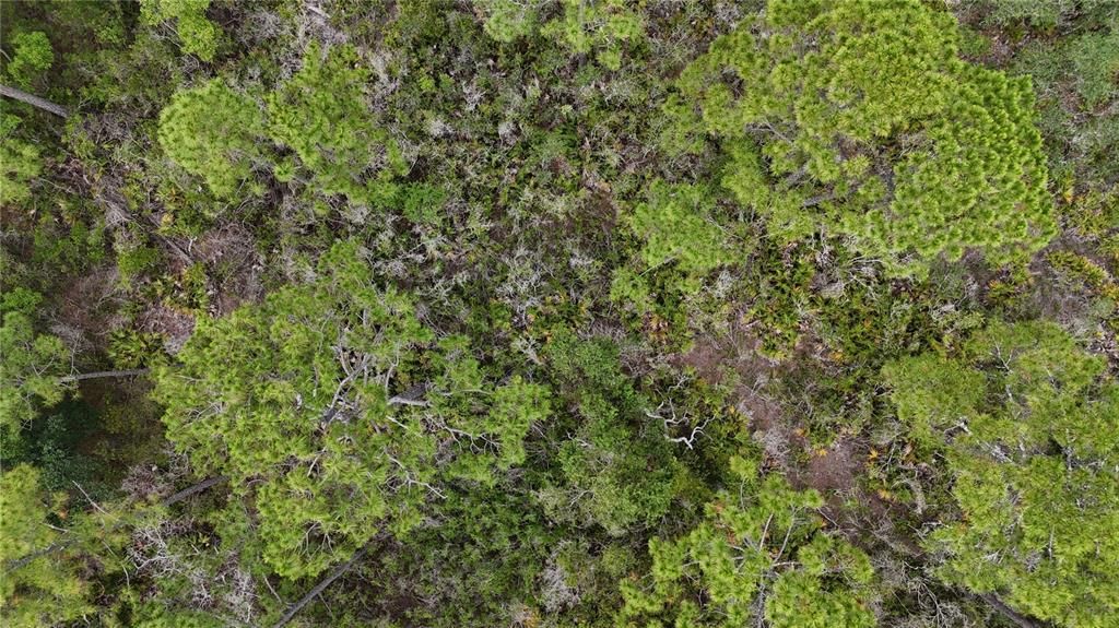 待售: $105,000 (20.00 acres)