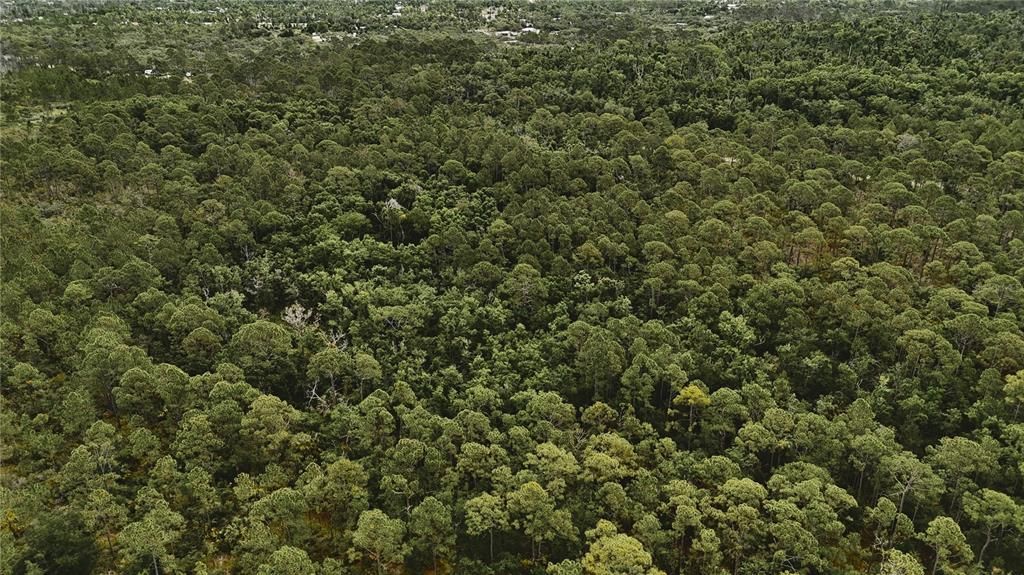 待售: $105,000 (20.00 acres)