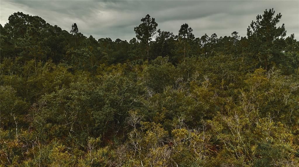 待售: $105,000 (20.00 acres)