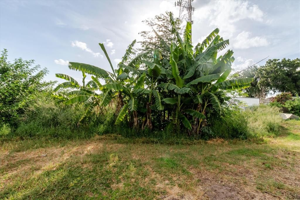 En Venta: $799,000 (4 camas, 1 baños, 2430 Pies cuadrados)