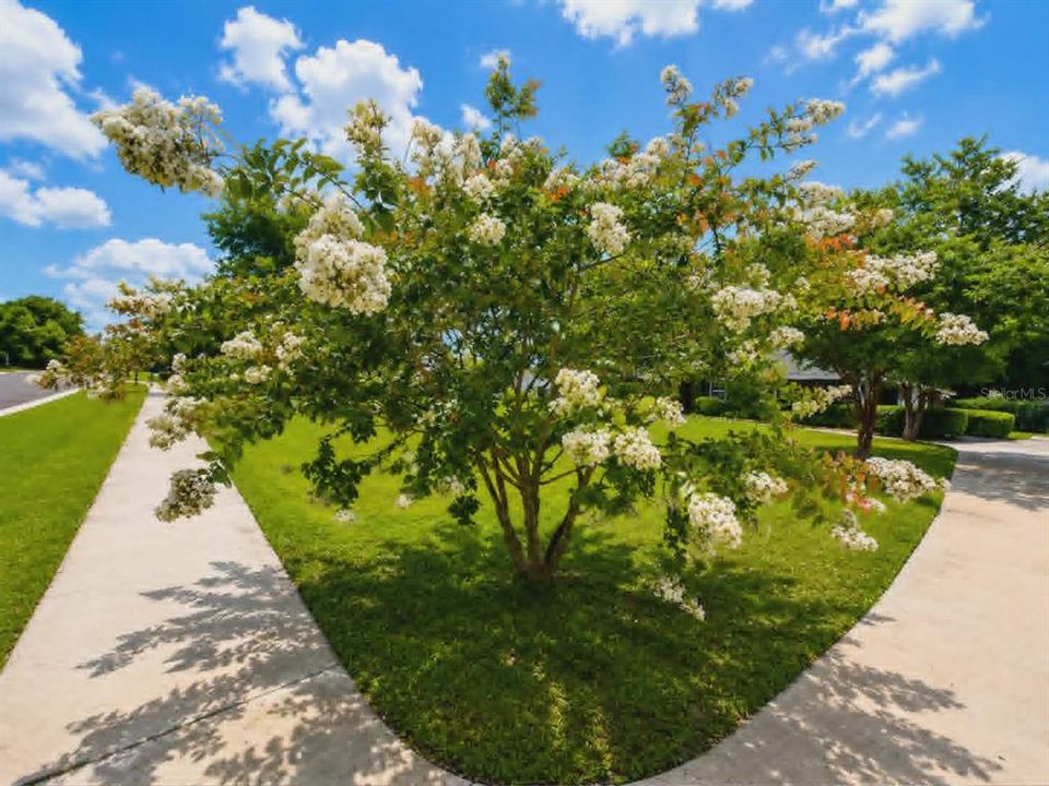 En Venta: $588,000 (3 camas, 2 baños, 2109 Pies cuadrados)