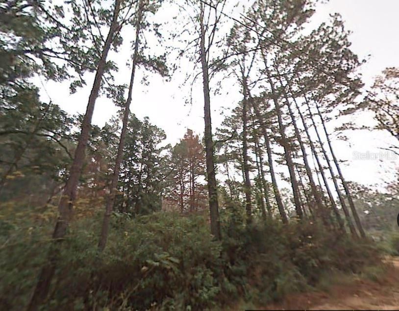 На продажу: $36,490 (0.30 acres)