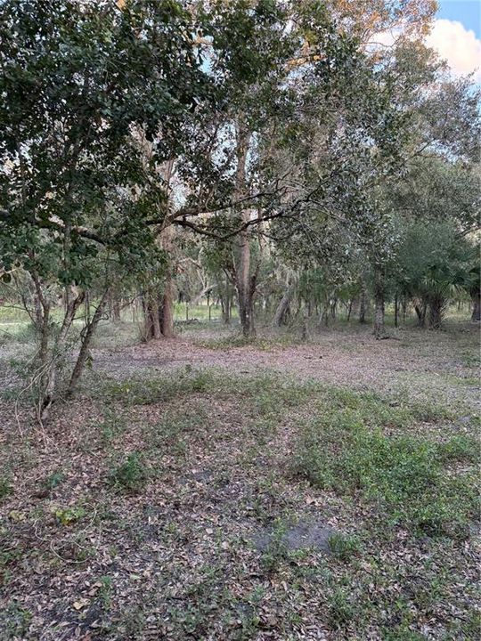 待售: $399,000 (6.63 acres)