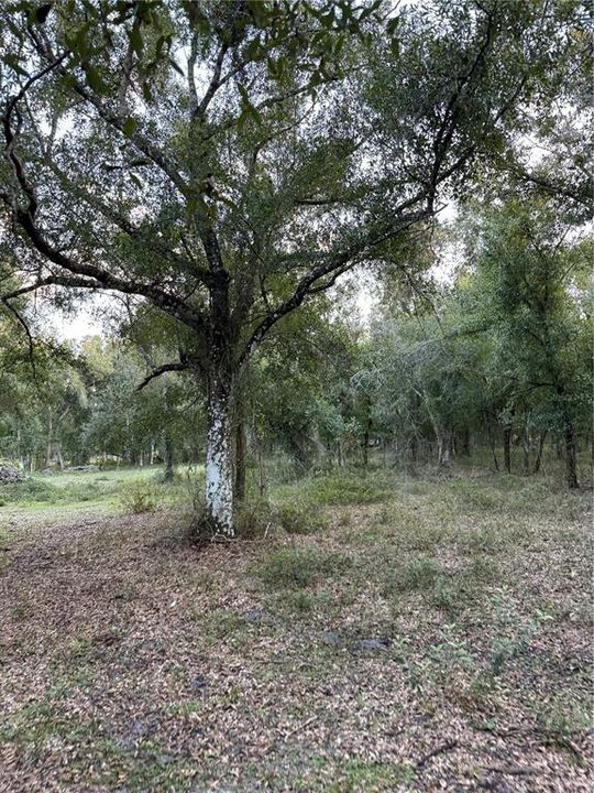 待售: $399,000 (6.63 acres)