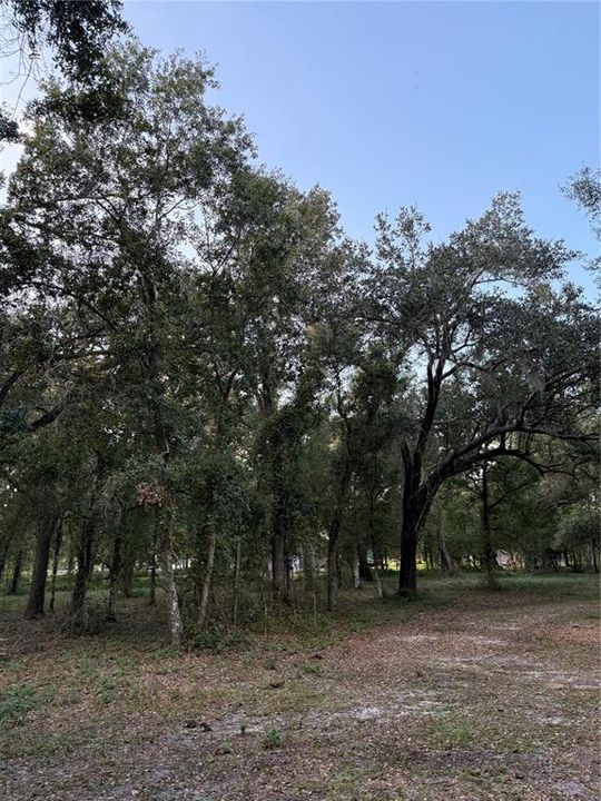 待售: $399,000 (6.63 acres)