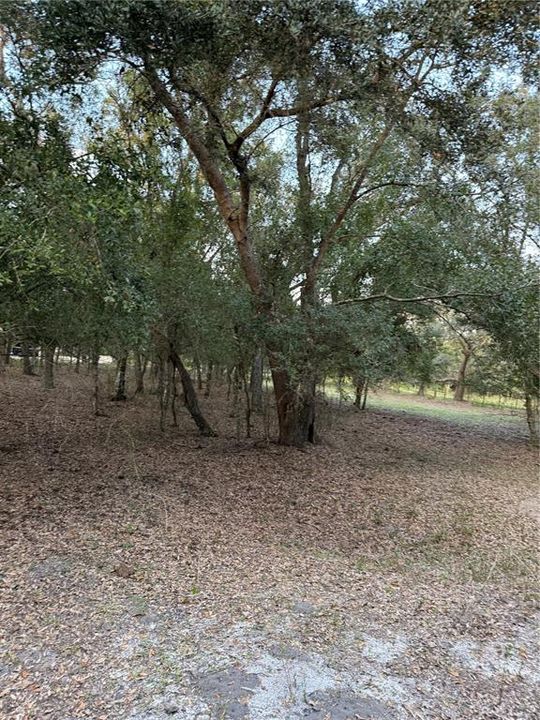 待售: $399,000 (6.63 acres)