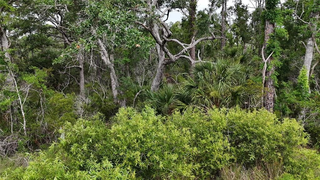 For Sale: $75,000 (15.00 acres)