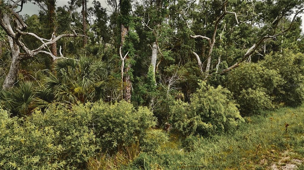 For Sale: $75,000 (15.00 acres)