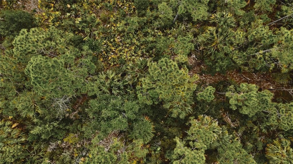 For Sale: $75,000 (15.00 acres)