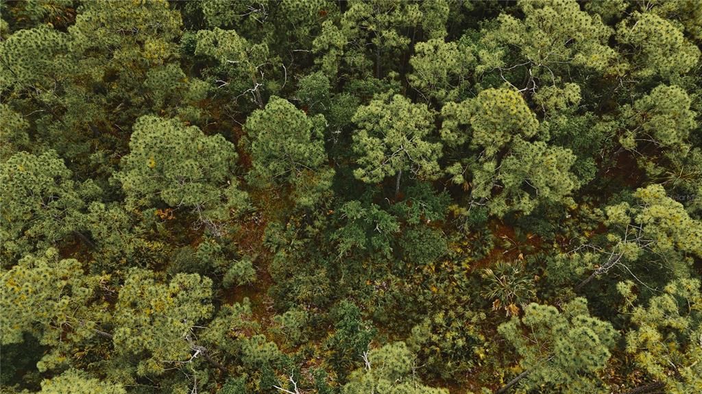 For Sale: $75,000 (15.00 acres)