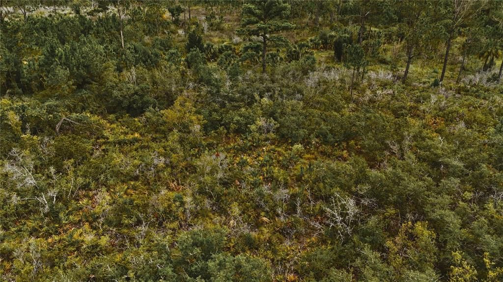 For Sale: $75,000 (15.00 acres)