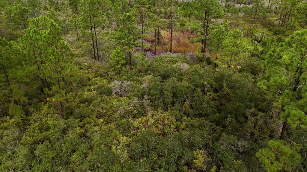 For Sale: $75,000 (15.00 acres)