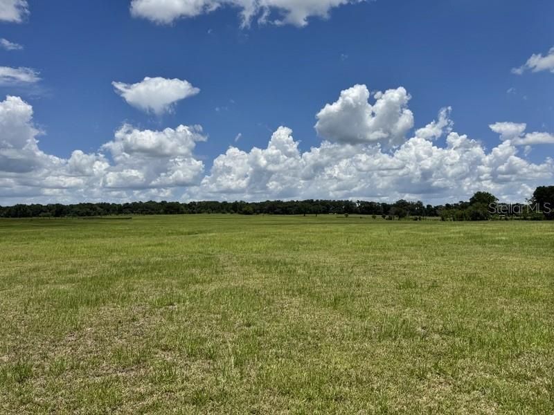 For Sale: $300,000 (10.01 acres)