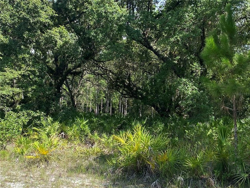 For Sale: $12,500 (0.50 acres)