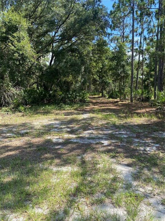 For Sale: $12,500 (0.50 acres)