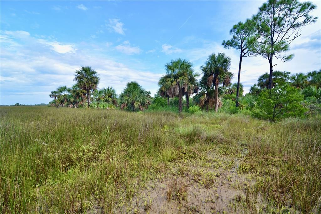 For Sale: $80,000 (26.73 acres)