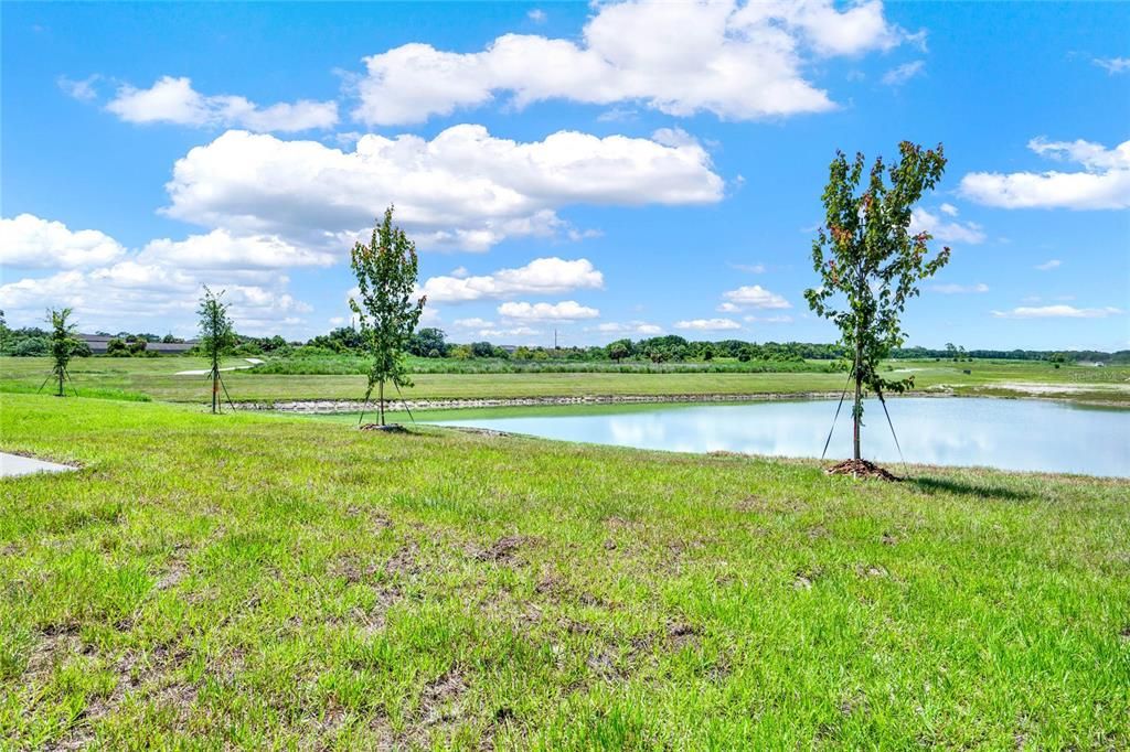 For Rent: $2,098 (4 beds, 2 baths, 1933 Square Feet)