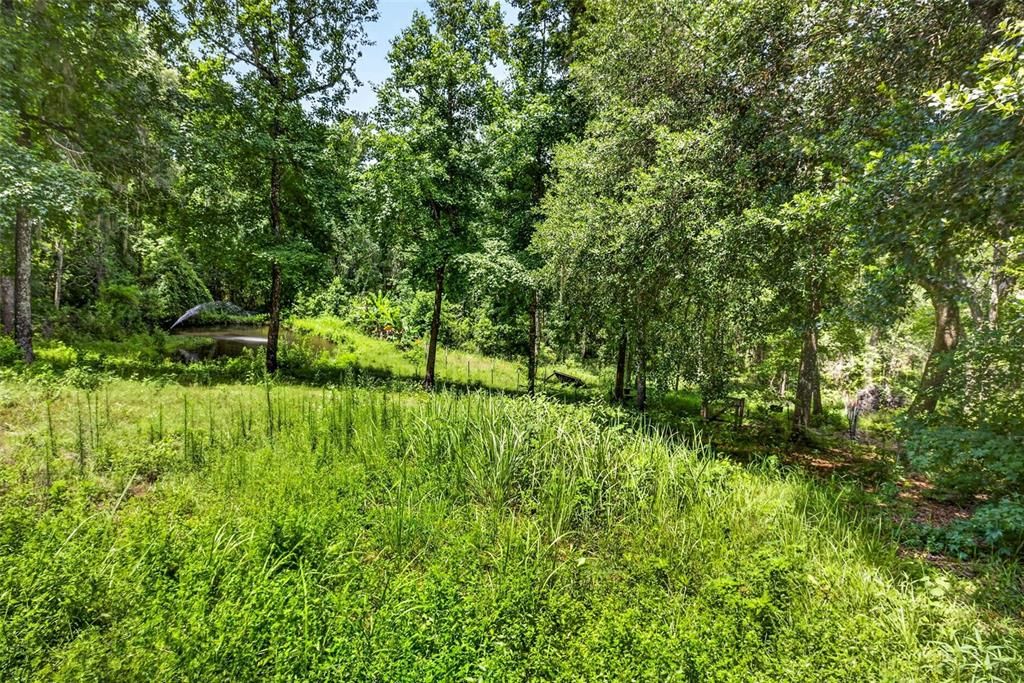 For Sale: $699,900 (5 beds, 4 baths, 3188 Square Feet)