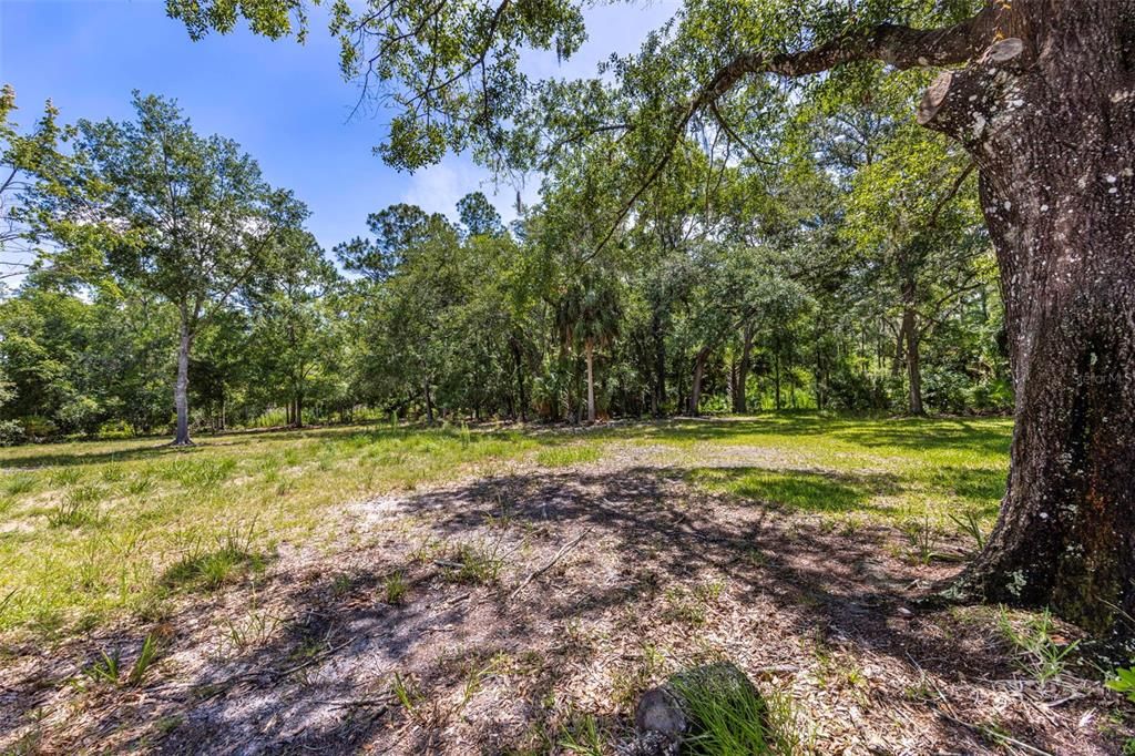 For Sale: $289,900 (2.46 acres)
