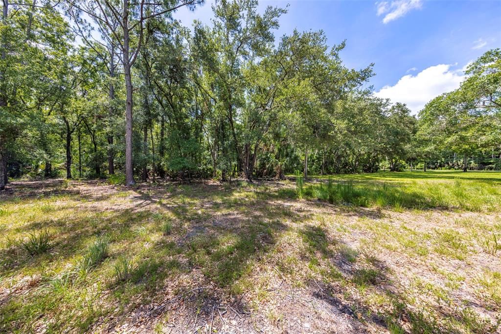 For Sale: $289,900 (2.46 acres)