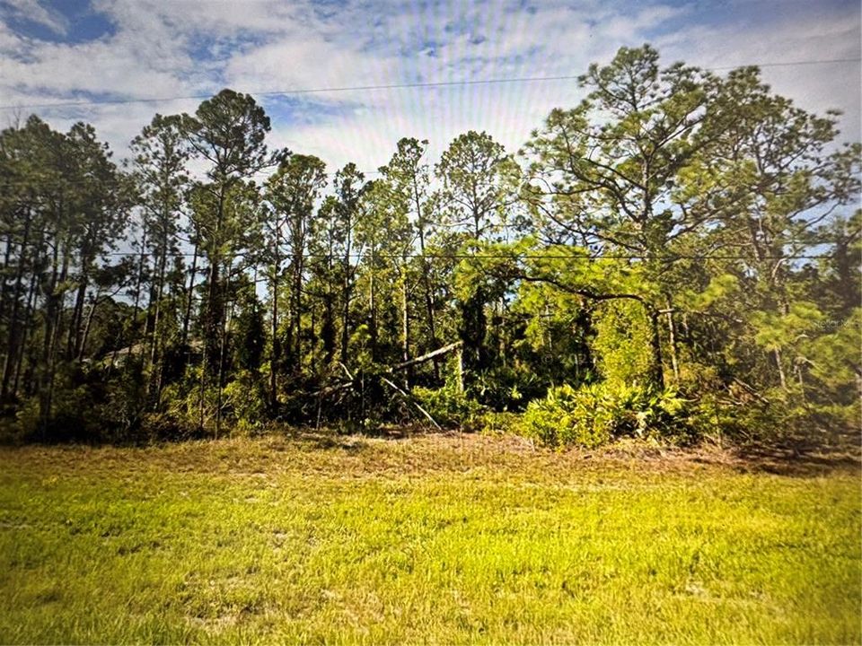 For Sale: $23,900 (0.23 acres)