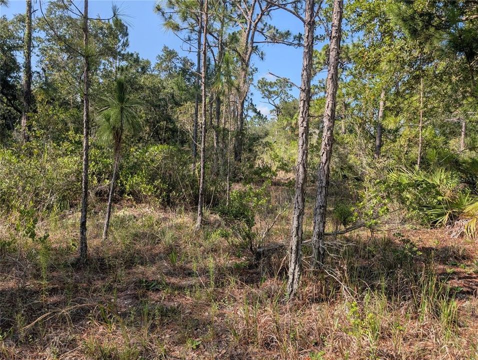 En Venta: $36,000 (1.00 acres)