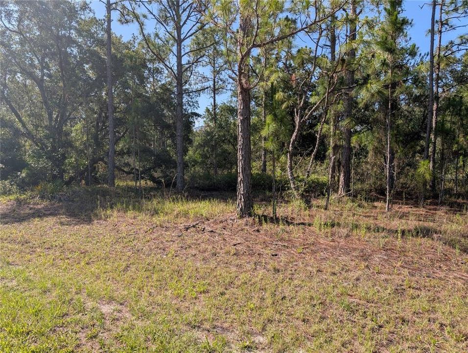 En Venta: $36,000 (1.00 acres)