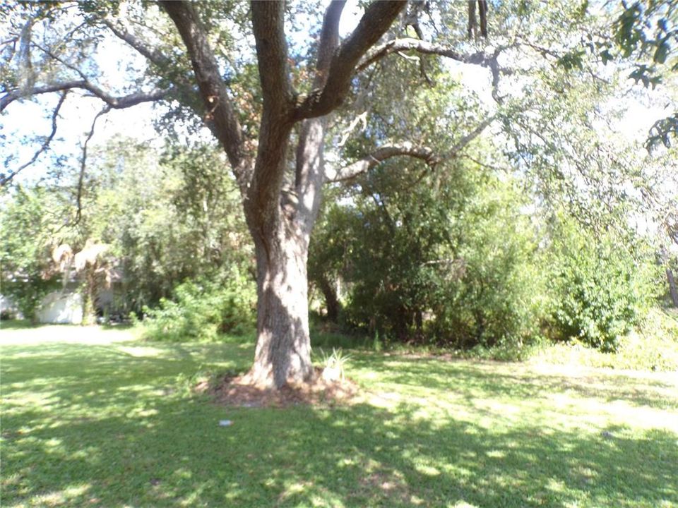 For Rent: $1,600 (2 beds, 2 baths, 1050 Square Feet)