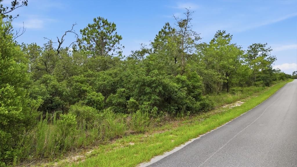 For Sale: $39,900 (0.99 acres)