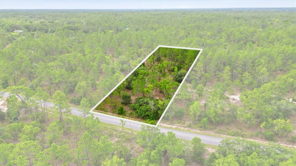 For Sale: $39,900 (0.99 acres)