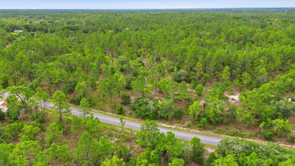 For Sale: $39,900 (0.99 acres)