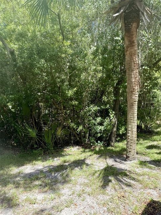 В аренду: $2,400 (3 спален, 2 ванн, 1764 Квадратных фут)