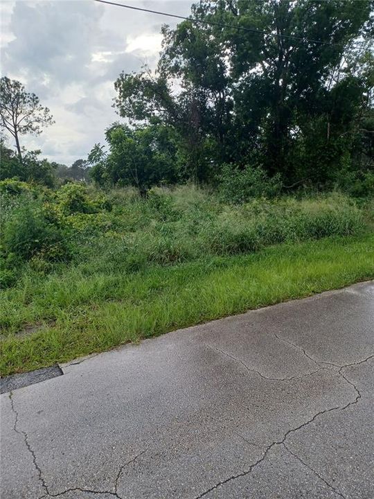 待售: $49,500 (0.23 acres)