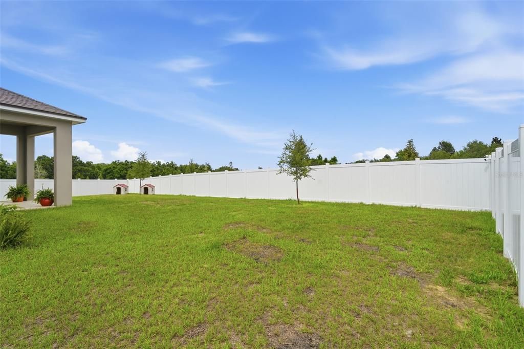 For Rent: $2,400 (4 beds, 2 baths, 1894 Square Feet)