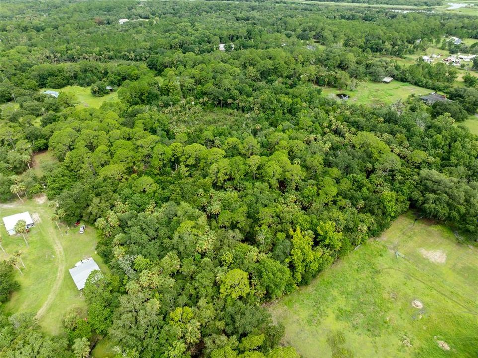 待售: $250,000 (9.80 acres)