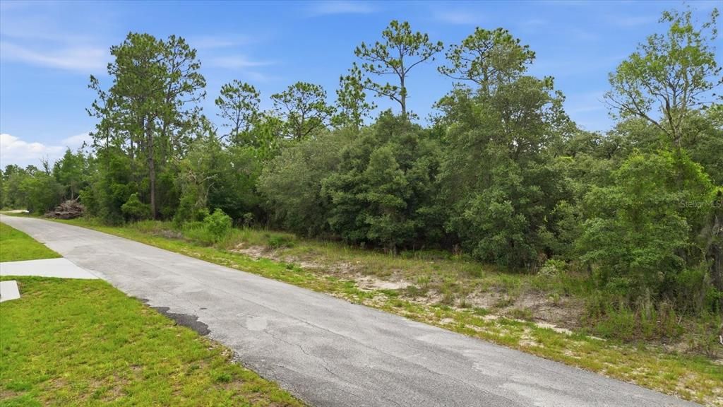 For Sale: $39,900 (0.99 acres)