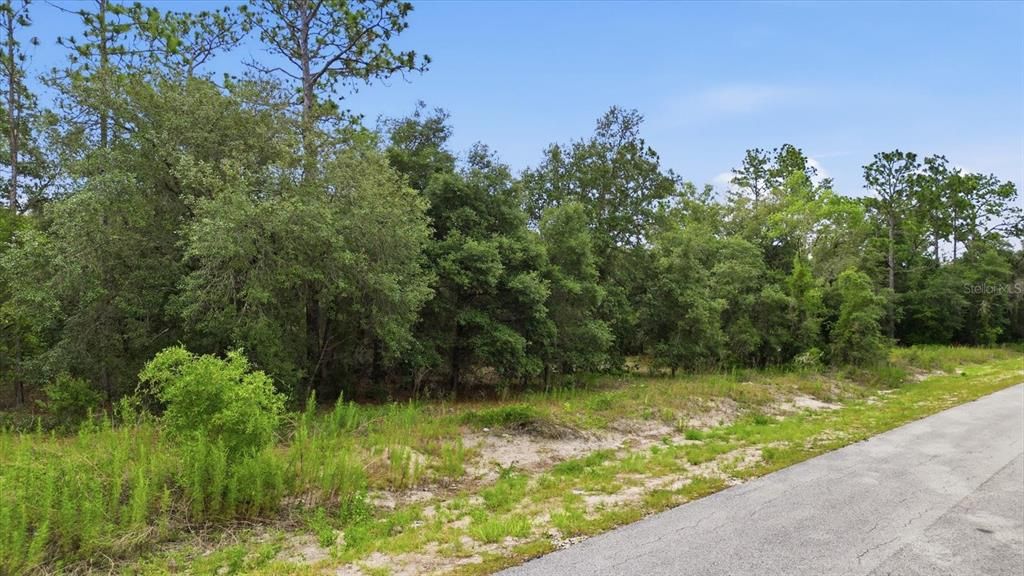 For Sale: $39,900 (0.99 acres)