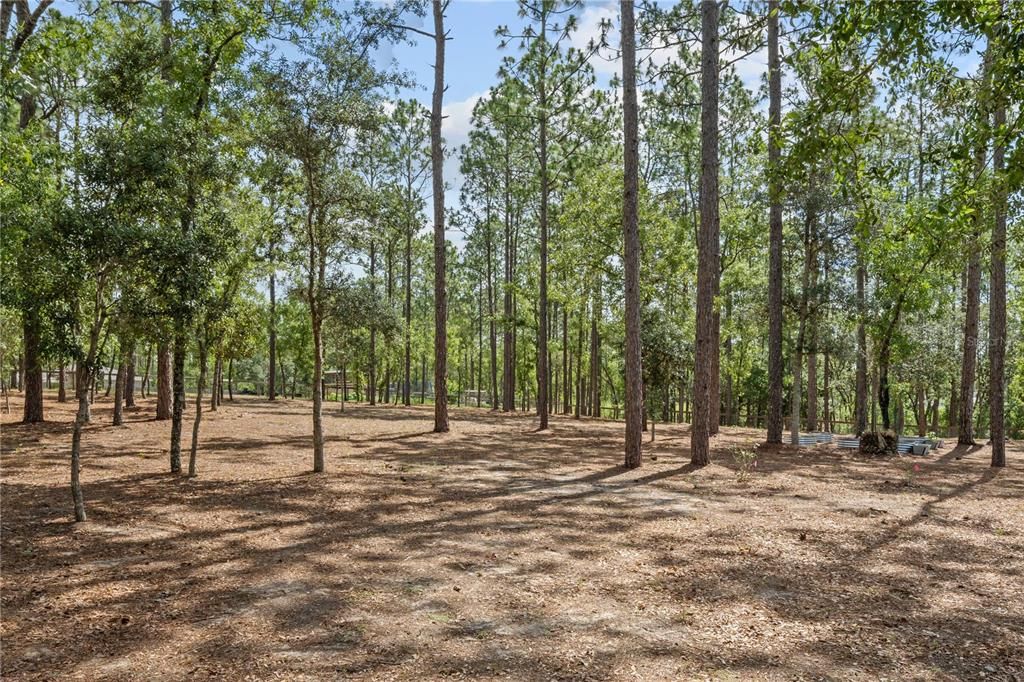 For Sale: $539,900 (3 beds, 2 baths, 1619 Square Feet)