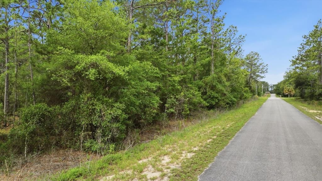 For Sale: $39,900 (0.99 acres)
