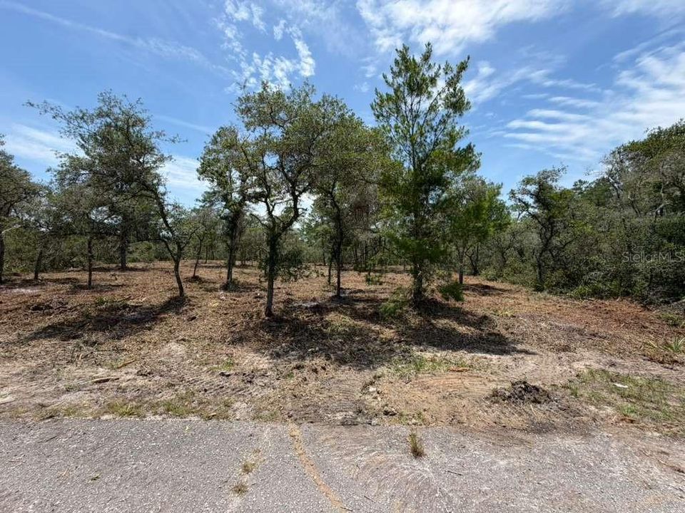 For Sale: $24,900 (0.53 acres)