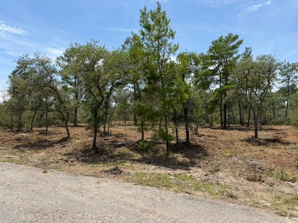 For Sale: $24,900 (0.53 acres)
