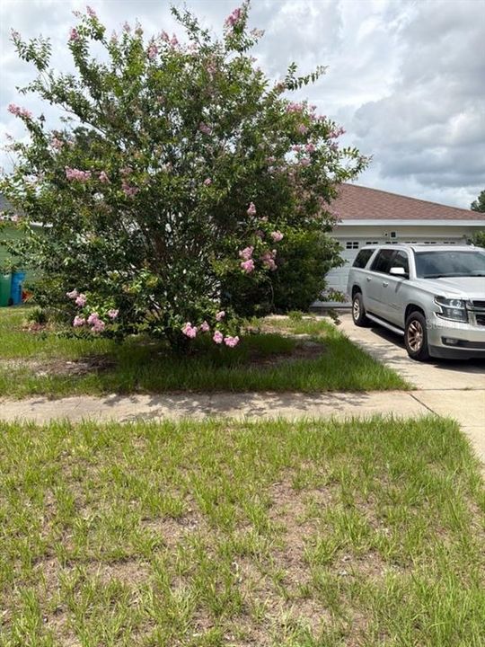 En Venta: $255,000 (3 camas, 2 baños, 1333 Pies cuadrados)