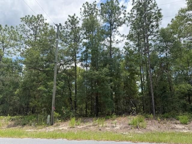 For Sale: $30,000 (0.26 acres)