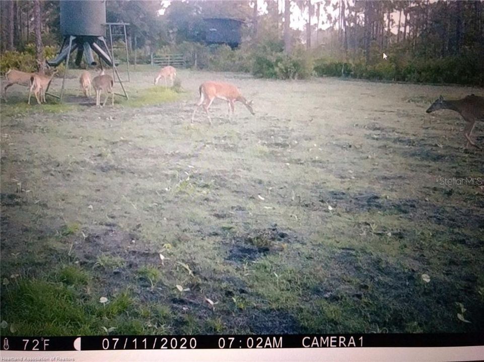待售: $2,400,000 (120.00 acres)